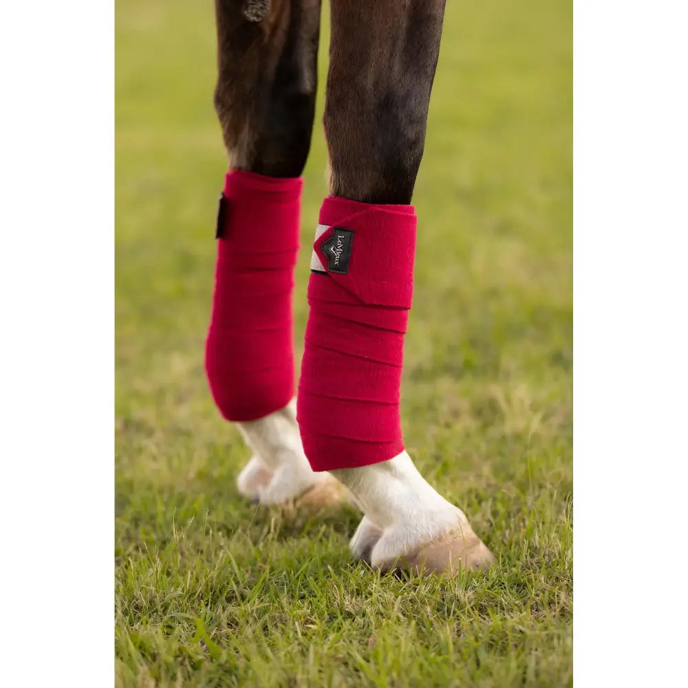 Red Lemieux Polo Bandages Ember protecting a horse’s lower legs during training