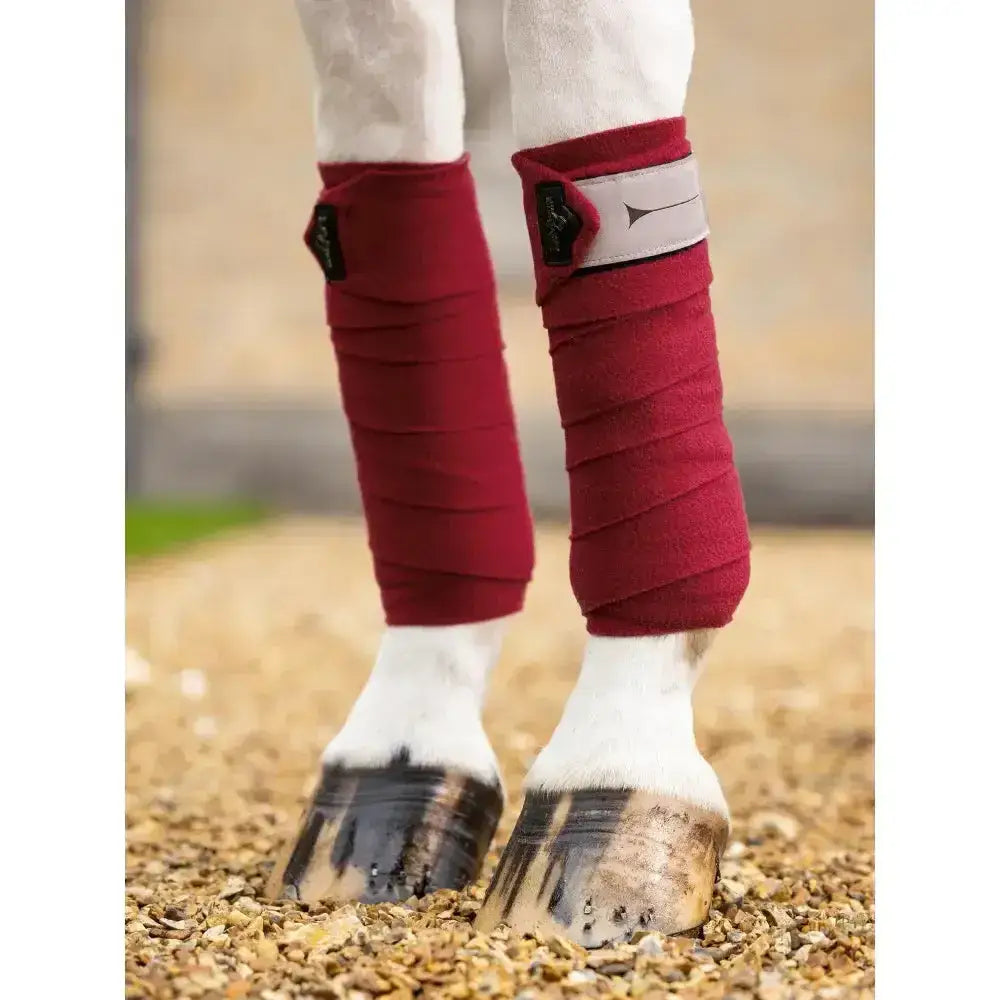 Deep red soft textured lemieux polo bandages ember with sleek black and silver buckle detail for polo use