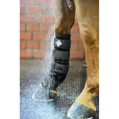 Black multi-strapped lemieux procool cold water horse leg guard with diamond logo and procool branding