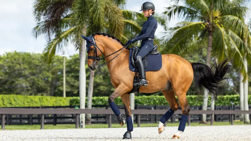 LeMieux ProSorb Plain 2 Pocket Dressage Square Navy Large Navy Dressage Saddle Pads
