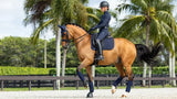 LeMieux ProSorb Plain 2 Pocket Dressage Square Navy Large Navy Dressage Saddle Pads