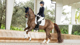 LeMieux ProSorb Plain 2 Pocket Dressage Square White Large White Dressage Saddle Pads