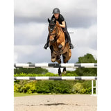A brown horse wearing a black lemieux puissance fly hood with handy elastic tie protecting the horse’s ears mid-jump
