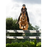 A brown horse wearing a lemieux powerfly fly hood brown with a black bridle jumps over striped poles