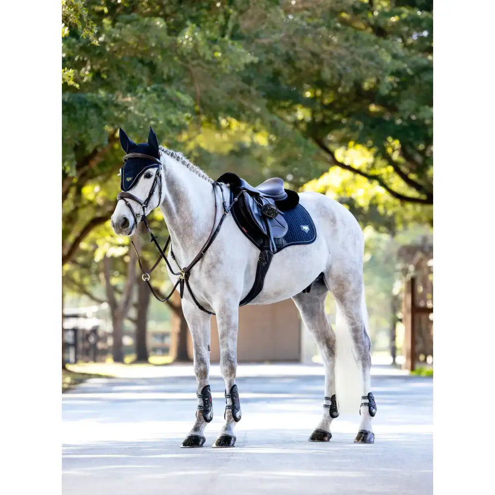 A white horse wearing lemieux puissance suede cc pad navy and black protective gear on its back