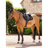 A sleek tan horse stands in a sunlit courtyard wearing a black lemieux puissance suede close contact square saddle pad