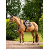A light brown horse with a lemieux puissance suede close contact square saddle pad standing on a gravel path