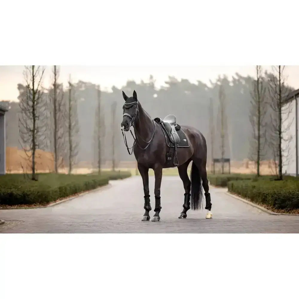 A sleek black horse wearing a lemieux puissance suede black suede dressage square with sophisticated cord edging