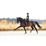 LeMieux Puissance Suede Dressage Square Brown Small/Medium Brown Dressage Saddle Pads