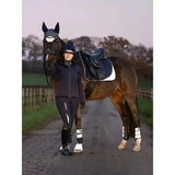 Dark brown horse wearing black headgear and navy blue lemieux reflective suede dressage saddle pad