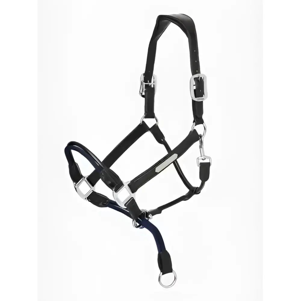 Black leather lemieux rope control headcollar with silver hardware and blue lead rope attachment for easy control