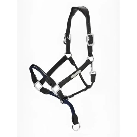 Black leather lemieux rope control headcollar with silver hardware and blue lead rope attachment for easy control