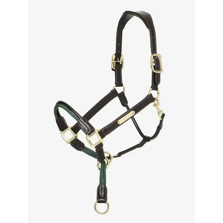 Black leather lemieux rope control headcollar with gold hardware and green braided lead rope for lively horses