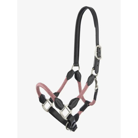 Black leather and pink braided rope lemieux ropella headcollar with silver hardware in ropella headcollar cranberry style