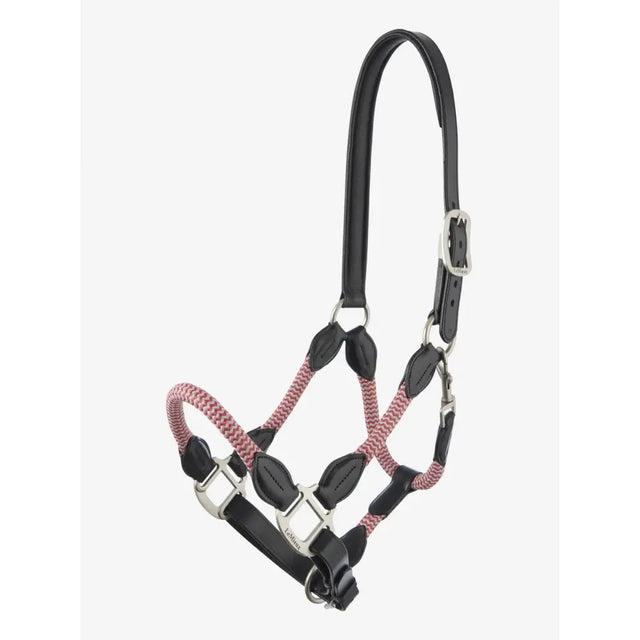 Black leather and pink braided rope lemieux ropella headcollar with silver hardware in ropella headcollar cranberry style