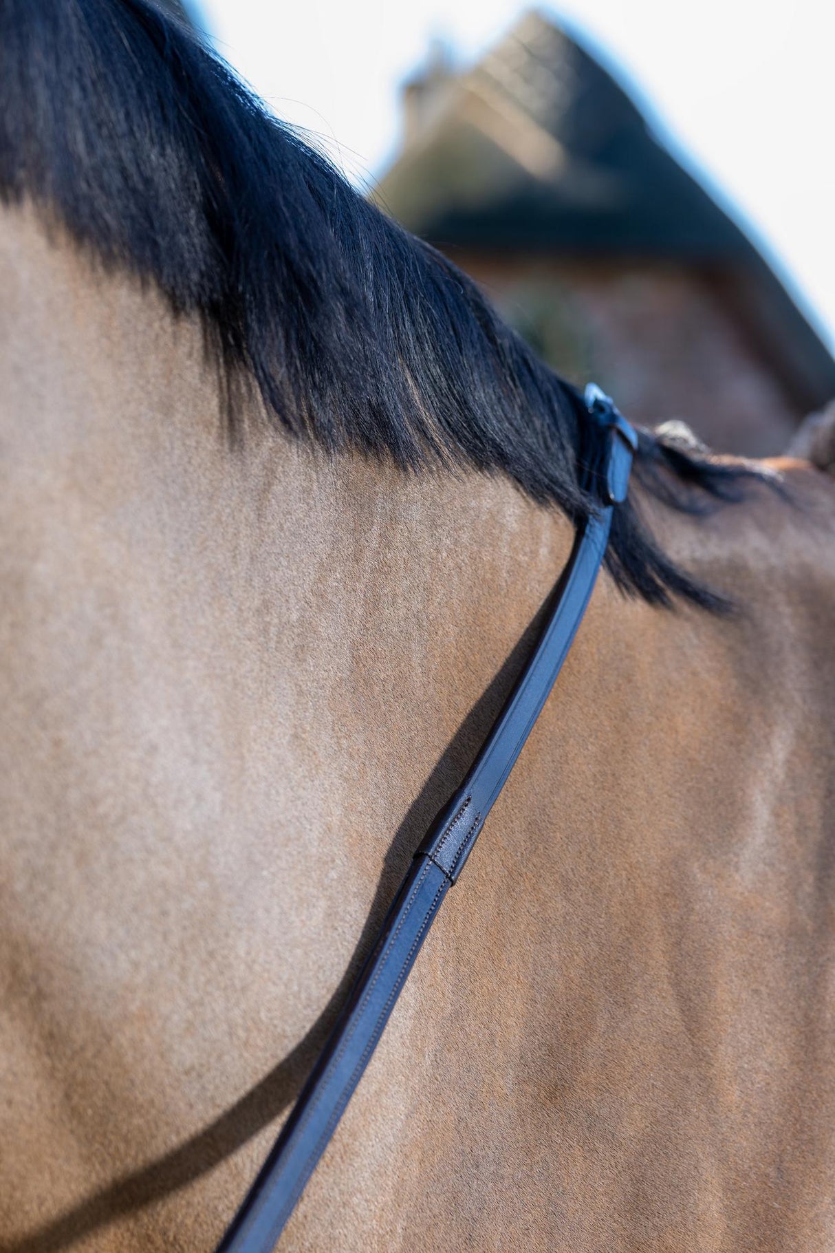 LeMieux Rubber Grip Continental Reins Brown/Silver Pony Brown/Silver Continental Reins