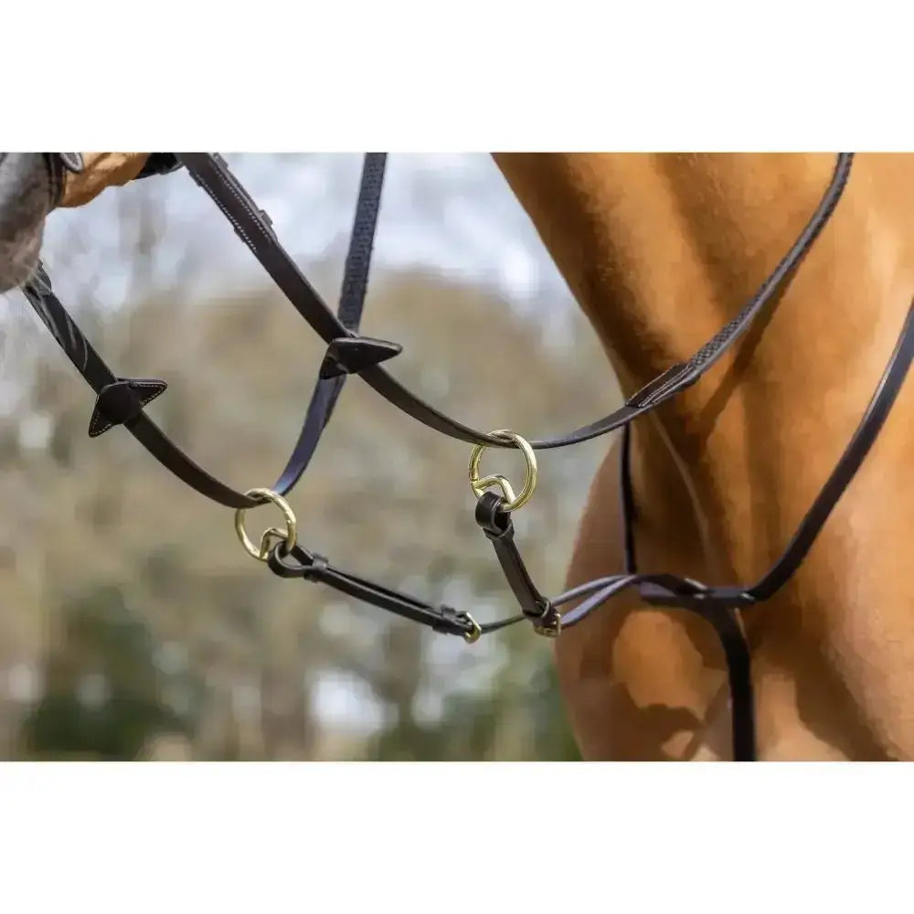 Black leather lemieux running martingale with gold metal rings and decorative arrow tips featuring adjustable neck strap