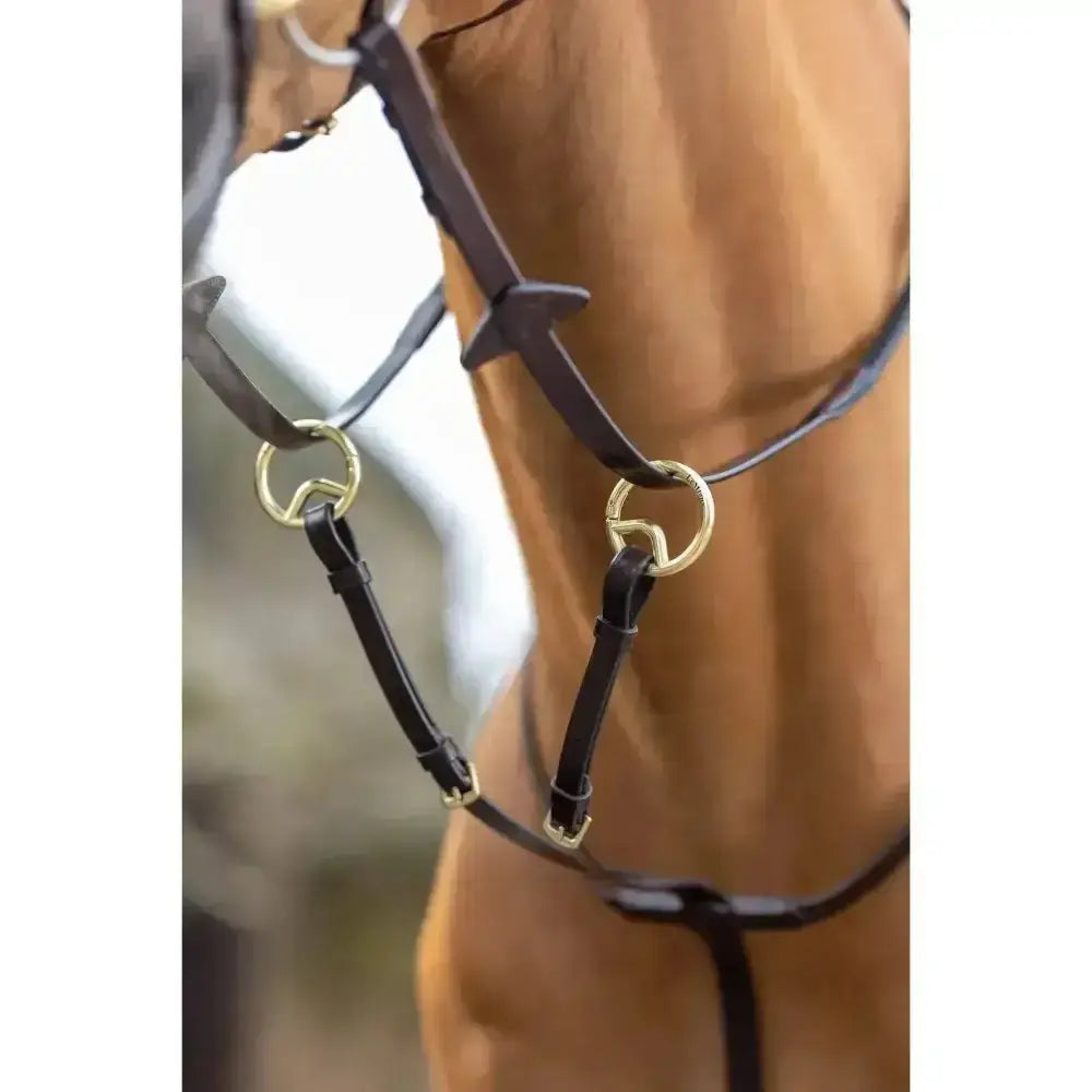 Black leather lemieux running martingale with gold rings and adjustable neck strap custom designed martingale