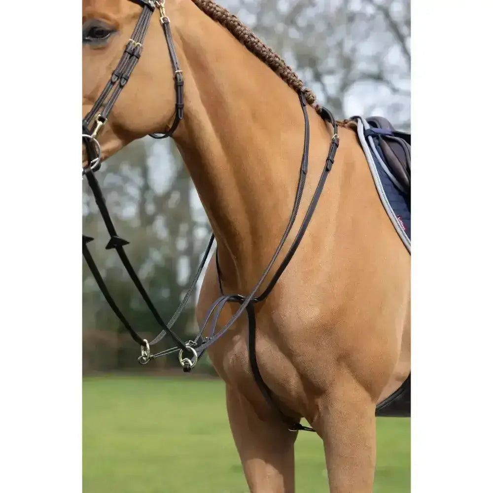 Black leather lemieux running martingale with silver hardware braided reins and adjustable neck strap custom designed martingale