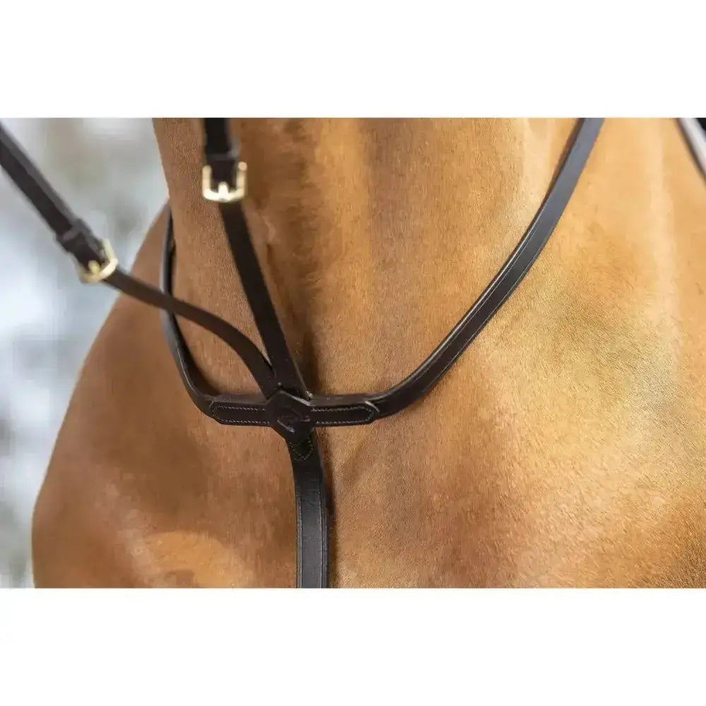 Black leather lemieux running martingale with gold buckles and an adjustable neck strap custom designed for horses