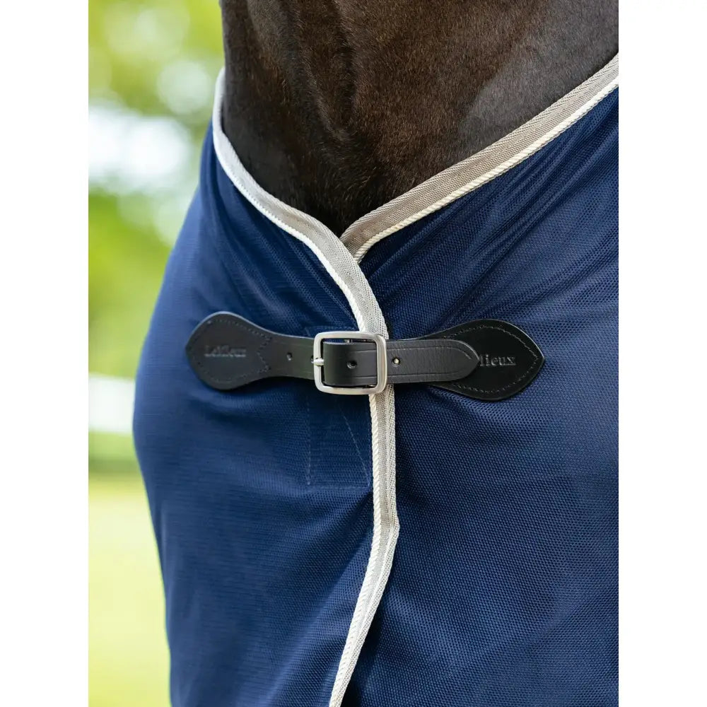 Navy blue horse blanket with white trim and black leather buckle from lemieux scrim navy collection