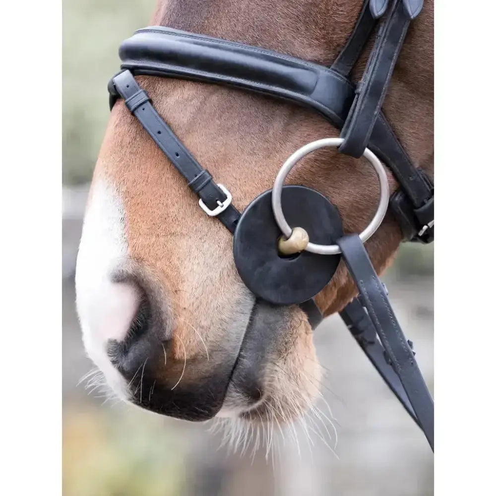 Black leather horse bridle with lemieux silicone bit pliable silicone rings and a silver ring noseband in black