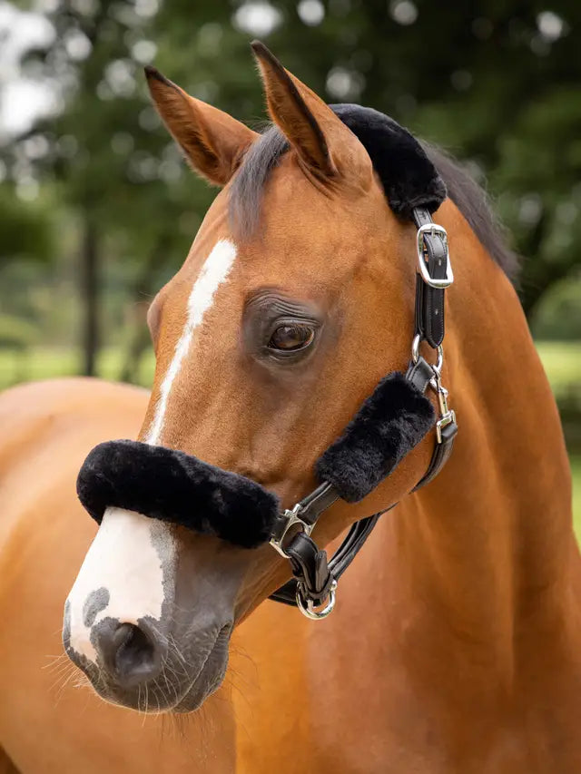 LeMieux Simuwool Headcollar Set Black One Size Black Headbands