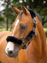 LeMieux Simuwool Headcollar Set Black One Size Black Headbands