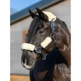 Dark brown horse wearing a lemieux simuwool headcollar set natural with cream fleece and black metal hardware