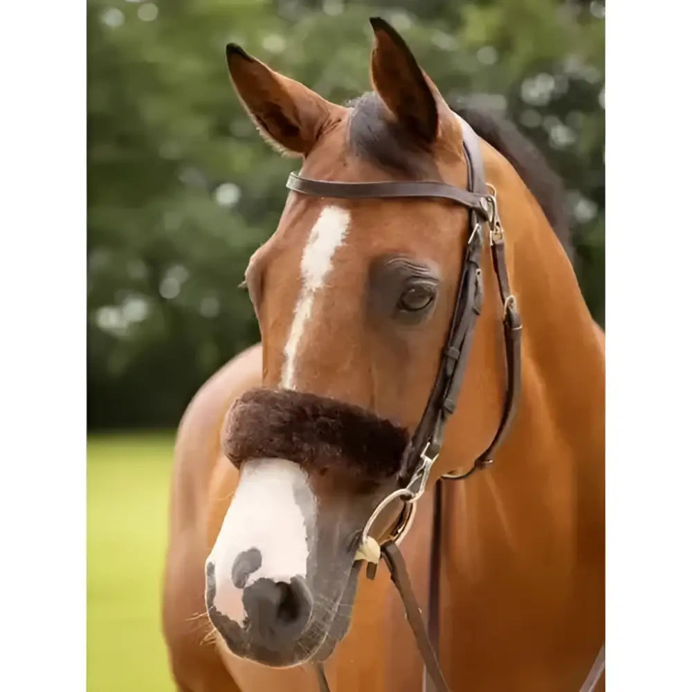 Brown horse wearing lemieux simuwool noseband cover in brown soft faux lambskin protecting delicate noses