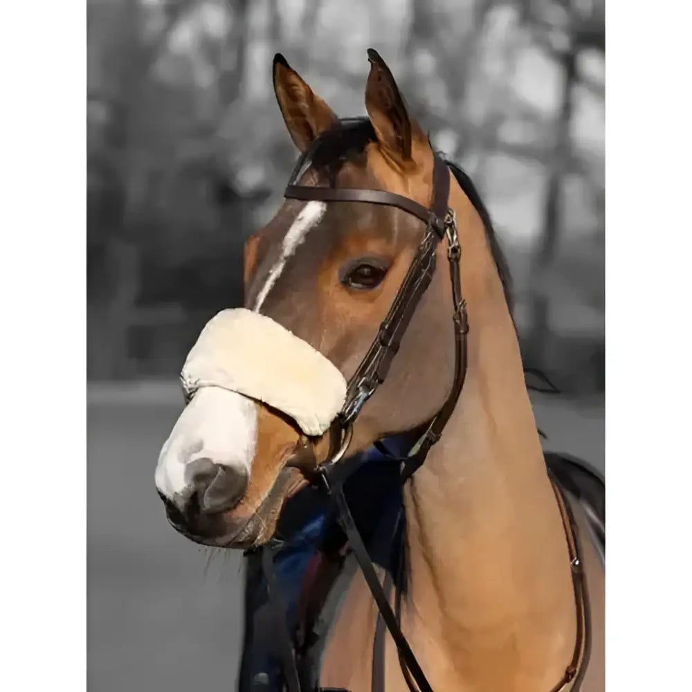 A brown horse wearing a lemieux simuwool noseband cover natural made of soft faux lambskin protecting delicate noses