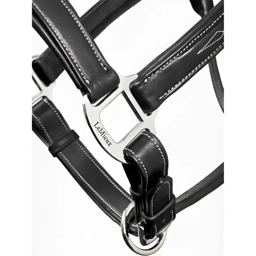 Black lemieux stitched leather headcollar with silver buckle and detailed stitching padded leather headcollar black