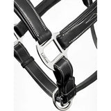 Black lemieux stitched leather headcollar with silver buckle and detailed stitching padded leather headcollar black