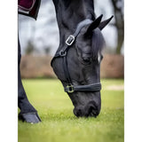 Black horse wearing a lemieux stitched leather padded leather headcollar black with silver accents and adjustable straps