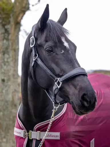 LeMieux Stitched Leather Headcollar Black Cob Black Leather Headcollars