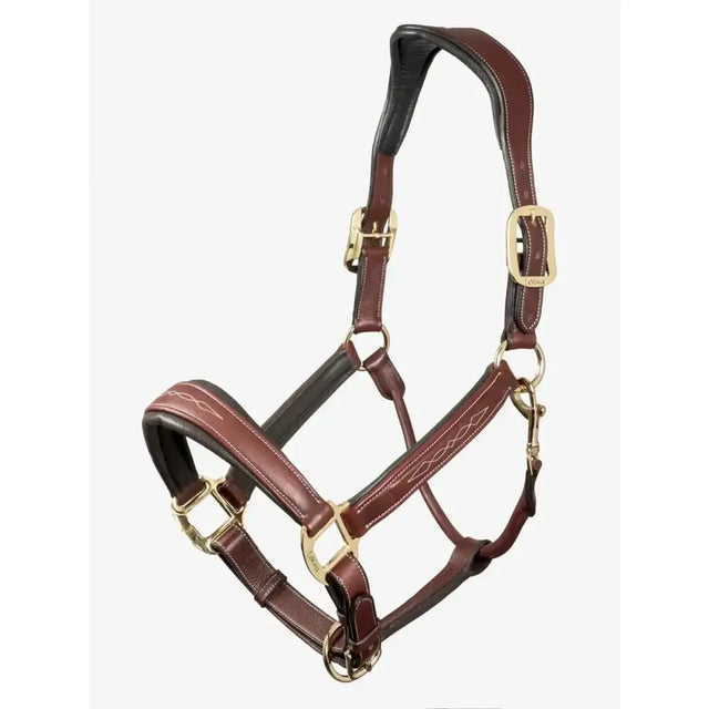 Brown lemieux stitched leather padded headcollar with gold metal buckles and detailed stitching beautifully crafted