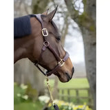Brown lemieux stitched leather padded leather headcollar with silver buckles and gold chain lead beautifully crafted
