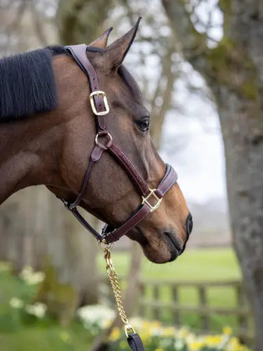 LeMieux Stitched Leather Headcollar Brown Cob Brown Leather Headcollars