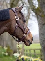 LeMieux Stitched Leather Headcollar Brown Cob Brown Leather Headcollars