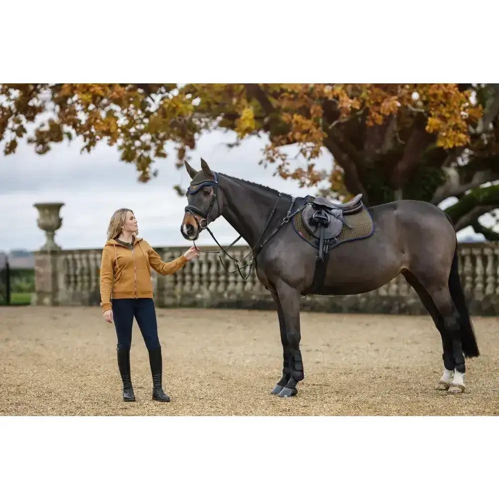 A dark brown horse wearing lemieux suede close contact square alpine black riding gear with white hoof boots