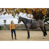 A dark brown horse wearing lemieux suede close contact square alpine black riding gear with white hoof boots