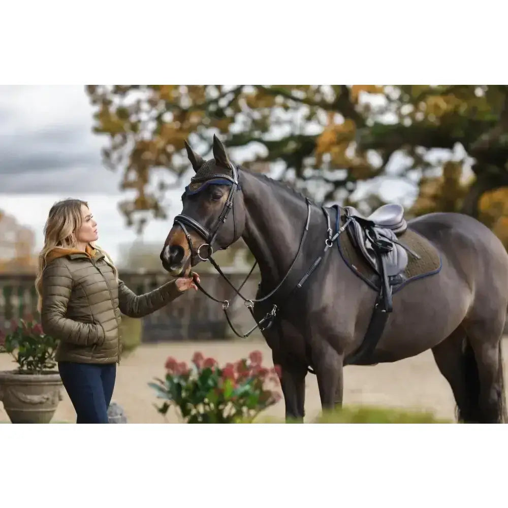 Dark brown horse with lemieux suede close contact square alpine saddle in suede and silver-colored leather tack