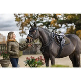 Dark brown horse with lemieux suede close contact square alpine saddle in suede and silver-colored leather tack
