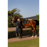 A sleek chestnut horse with lemieux suede close contact square alpine black suede saddle gear stands calmly beside rider