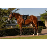 A chestnut horse with white blaze wearing lemieux suede close contact square alpine black riding gear and saddle