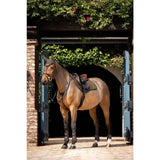 A sleek chestnut horse stands in an arched doorway wearing a lemieux suede close contact square alpine saddle pad