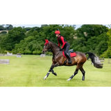 LeMieux Suede Close Contact Square Chilli Chilli Small/Medium Saddle Pads