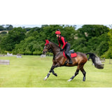 A dark brown horse wearing a red lemieux suede close contact square chilli saddle pad with matching headpiece