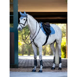A white horse wearing lemieux suede close contact square ice blue saddle pad with matching blue and black tack