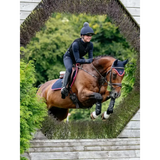 Lemieux Suede Close Contact Square Navy/Cranberry Navy/Cranberry Small/Medium Saddle Pads
